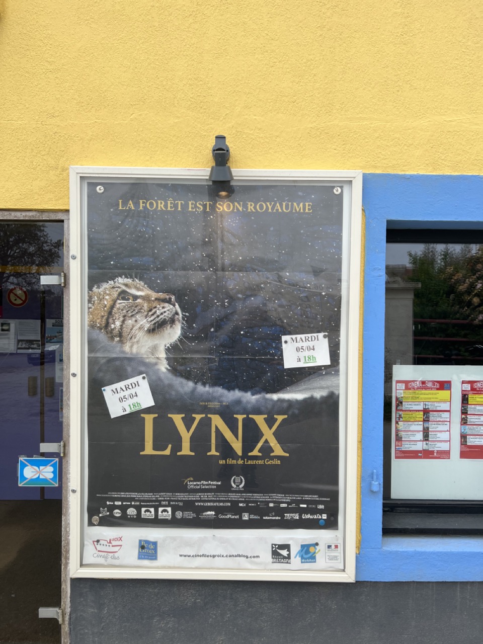 Le lynx à la reconquête de son territoire