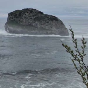 WhatsApp Image 2026-03-13 4